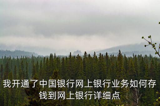 網(wǎng)上怎么存錢，我開通了中國銀行網(wǎng)上銀行業(yè)務如何存錢到網(wǎng)上銀行詳細點
