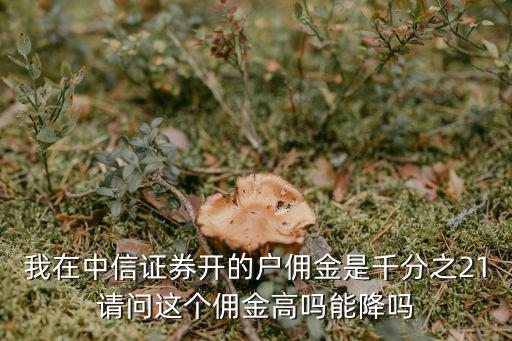 中信證券傭金怎么談，怎么和證券公司談傭金
