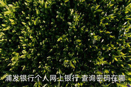 浦發(fā)銀行個(gè)人網(wǎng)上銀行 查詢密碼在哪