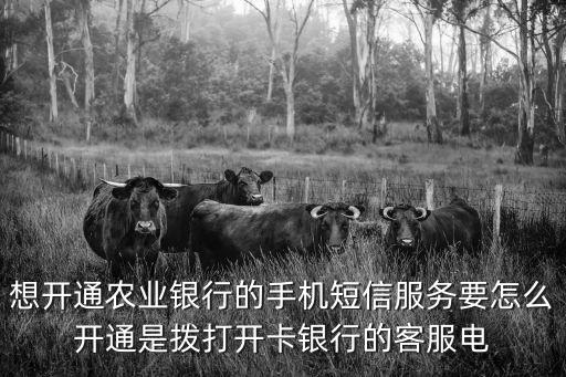 想開通農(nóng)業(yè)銀行的手機短信服務(wù)要怎么開通是撥打開卡銀行的客服電