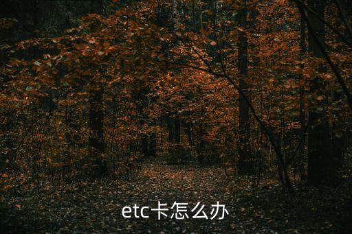 etc卡怎么辦