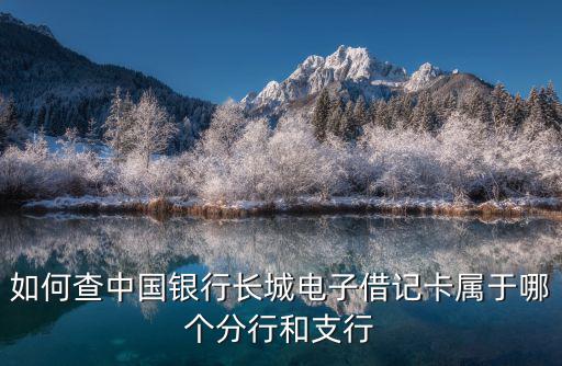 如何查中國(guó)銀行長(zhǎng)城電子借記卡屬于哪個(gè)分行和支行