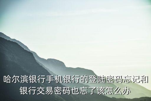 哈爾濱銀行手機(jī)銀行的登陸密碼忘記和銀行交易密碼也忘了該怎么辦