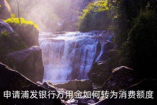 申請(qǐng)浦發(fā)銀行萬(wàn)用金如何轉(zhuǎn)為消費(fèi)額度