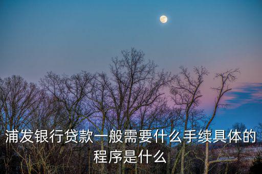 浦發(fā)銀行點(diǎn)貸怎么申請(qǐng)，浦發(fā)銀行貸款需要哪些手續(xù)