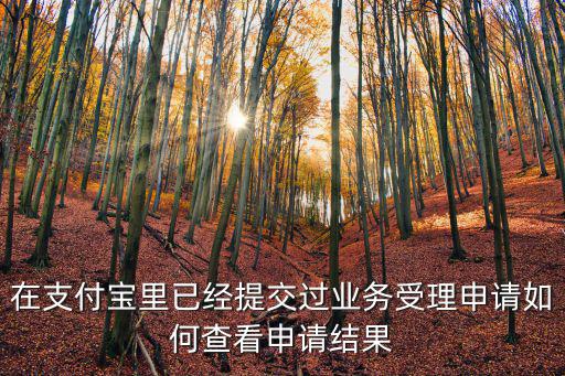 在支付寶里已經提交過業(yè)務受理申請如何查看申請結果