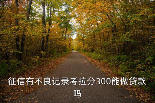考拉征信怎么申請(qǐng)貸款，考拉信用801分可以貸款嗎可以貸哪些很急