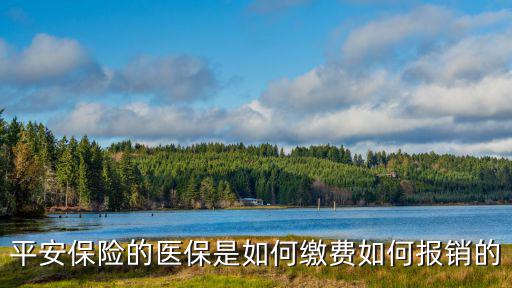 平安保險(xiǎn)的醫(yī)保是如何繳費(fèi)如何報(bào)銷的