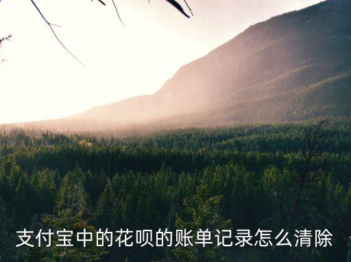 怎么刪除花唄支付記錄嗎，花唄交易的歷史賬單怎么樣刪除
