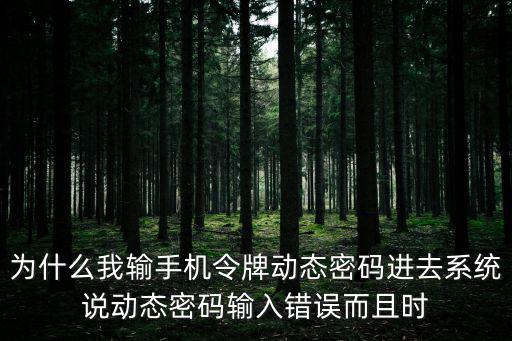動態(tài)密碼怎么輸入錯誤，為什么我輸手機令牌動態(tài)密碼進去系統(tǒng)說動態(tài)密碼輸入錯誤而且時
