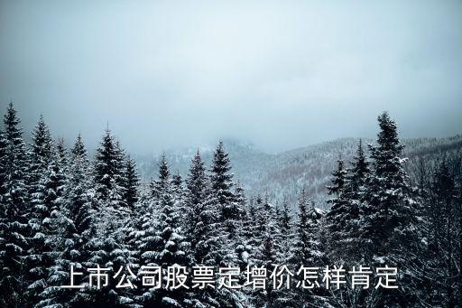 上市公司股票定增價怎樣肯定