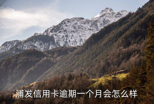 浦銀點(diǎn)貸逾期會(huì)怎么樣，點(diǎn)融網(wǎng)借貸不還會(huì)怎樣