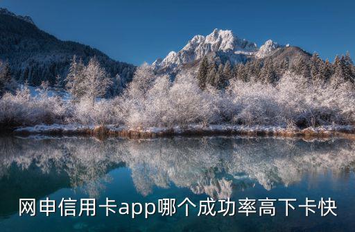 網(wǎng)申信用卡app哪個成功率高下卡快