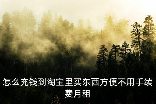 怎么充錢(qián)到淘寶里買(mǎi)東西方便不用手續(xù)費(fèi)月租