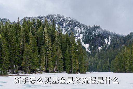 新手怎么買基金具體流程是什么