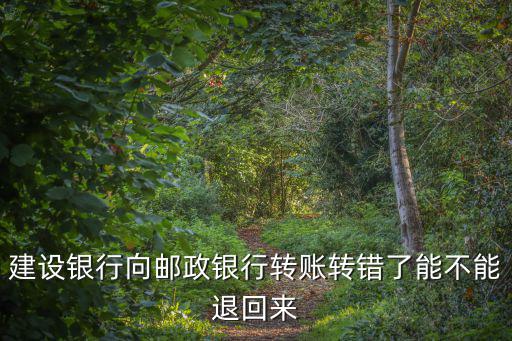 建設(shè)銀行向郵政銀行轉(zhuǎn)賬轉(zhuǎn)錯(cuò)了能不能退回來(lái)