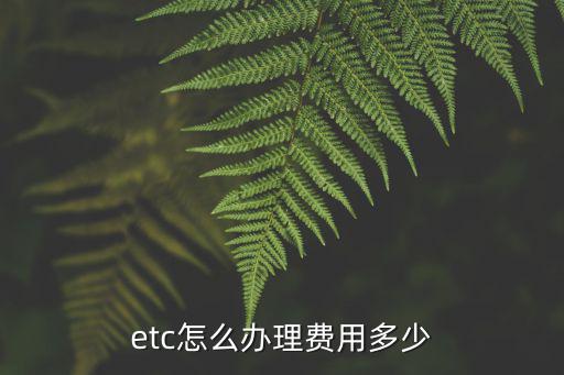 中國銀行山東etc怎么辦理流程，山東高速公路ETC魯通卡怎么辦理