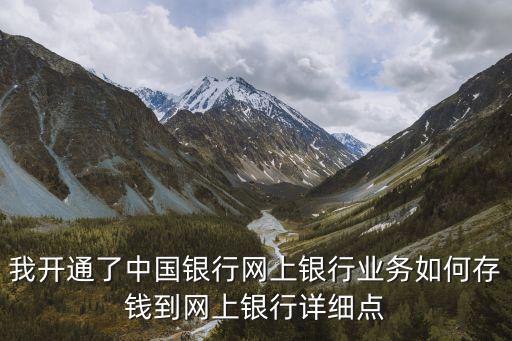 我開(kāi)通了中國(guó)銀行網(wǎng)上銀行業(yè)務(wù)如何存錢(qián)到網(wǎng)上銀行詳細(xì)點(diǎn)
