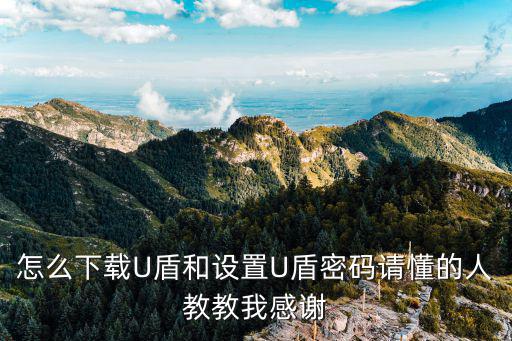 怎么下載U盾和設置U盾密碼請懂的人教教我感謝