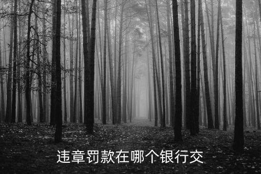 違章罰款在哪個銀行交