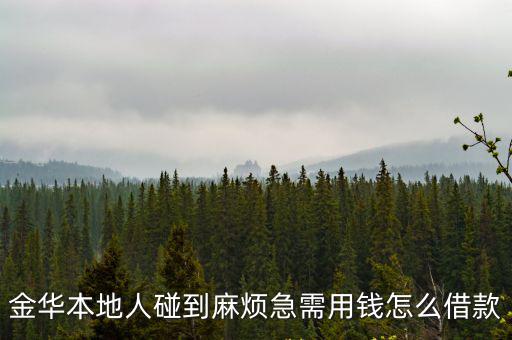 金華小小易貸怎么樣，喉嚨左右有兩顆小球可動下巴有一顆好像連接著的小球2個耳廓后