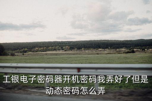 u盾上怎樣看動態(tài)密碼怎么辦，U盾密碼忘了怎么辦