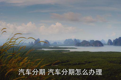 分期付款買(mǎi)車(chē)怎么辦理，購(gòu)車(chē)的分期付款怎么辦理