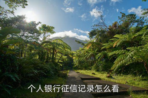 人行征信怎么查，個(gè)人征信怎么查