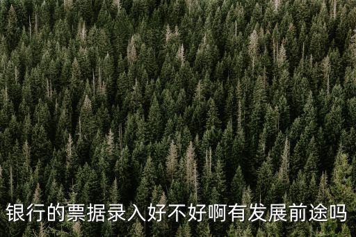 銀行的票據(jù)錄入好不好啊有發(fā)展前途嗎