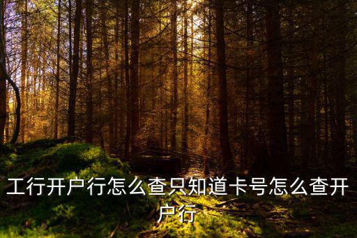 工行開戶行怎么查只知道卡號怎么查開戶行