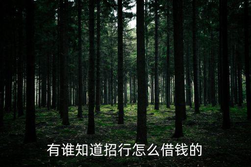 有誰知道招行怎么借錢的
