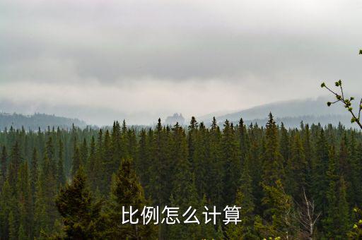 比例怎么計算