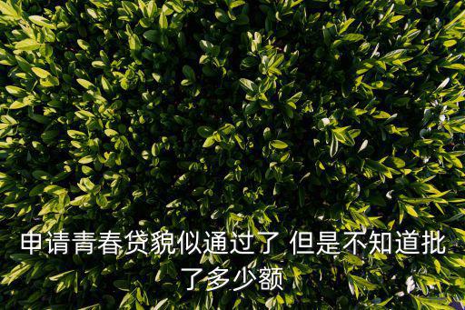 申請青春貸貌似通過了 但是不知道批了多少額