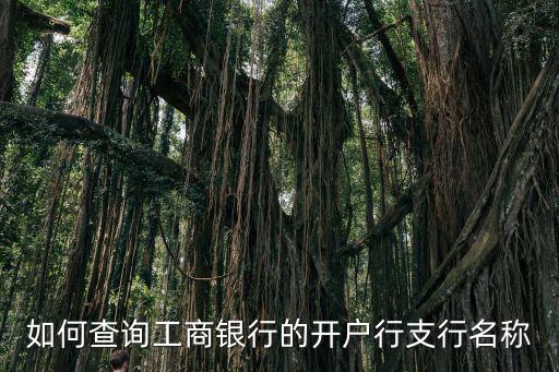 如何查詢工商銀行的開(kāi)戶行支行名稱