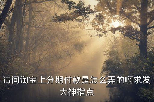 請問淘寶上分期付款是怎么弄的啊求發(fā)大神指點
