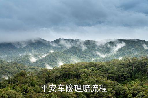 平安車險流程怎么辦理，平安車險需要怎么辦呢