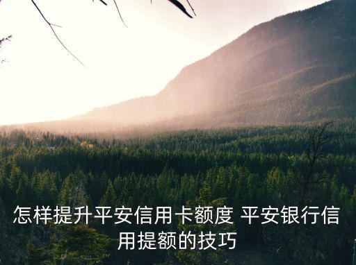 平安信用卡怎么能提額，平安信用卡怎么提額快我的卡快半年了