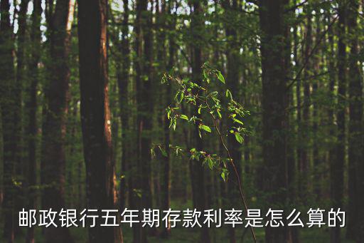 五年年利率怎么算，五年利息是多少