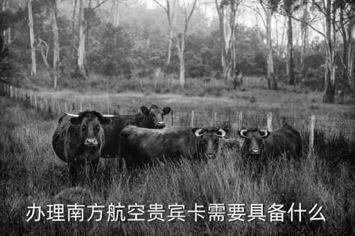 辦理南方航空貴賓卡需要具備什么