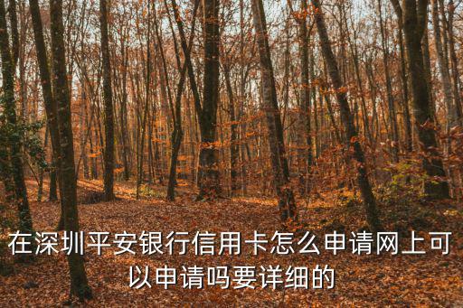 在深圳平安銀行信用卡怎么申請(qǐng)網(wǎng)上可以申請(qǐng)嗎要詳細(xì)的