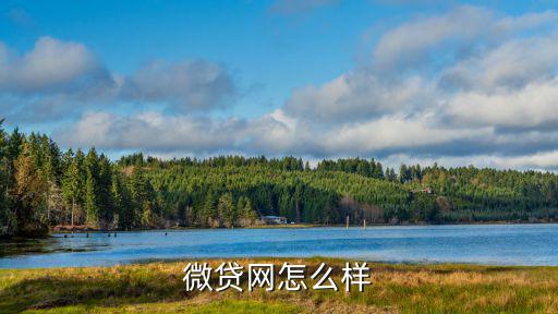 微貸網(wǎng)怎么樣
