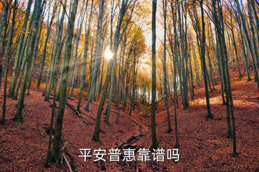 沈陽平安普惠怎么樣，平安普惠怎么樣靠譜嗎