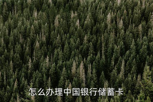 怎么辦理中國(guó)銀行儲(chǔ)蓄卡