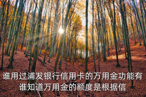 萬用金怎么看額度，誰用過浦發(fā)銀行信用卡的萬用金功能有誰知道萬用金的額度是根據(jù)信