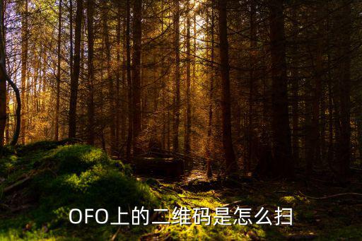 OFO上的二維碼是怎么掃