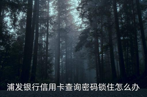 浦發(fā)查詢密碼怎么改，浦發(fā)銀行的查詢密碼忘記了怎么辦