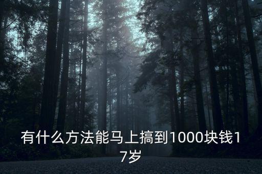 有什么方法能馬上搞到1000塊錢17歲