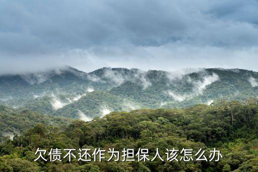 欠債不還作為擔保人該怎么辦