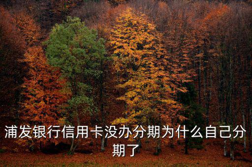 浦發(fā)銀行信用卡沒辦分期為什么自己分期了