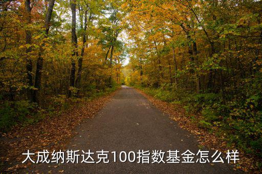大成納斯達(dá)克100指數(shù)基金怎么樣